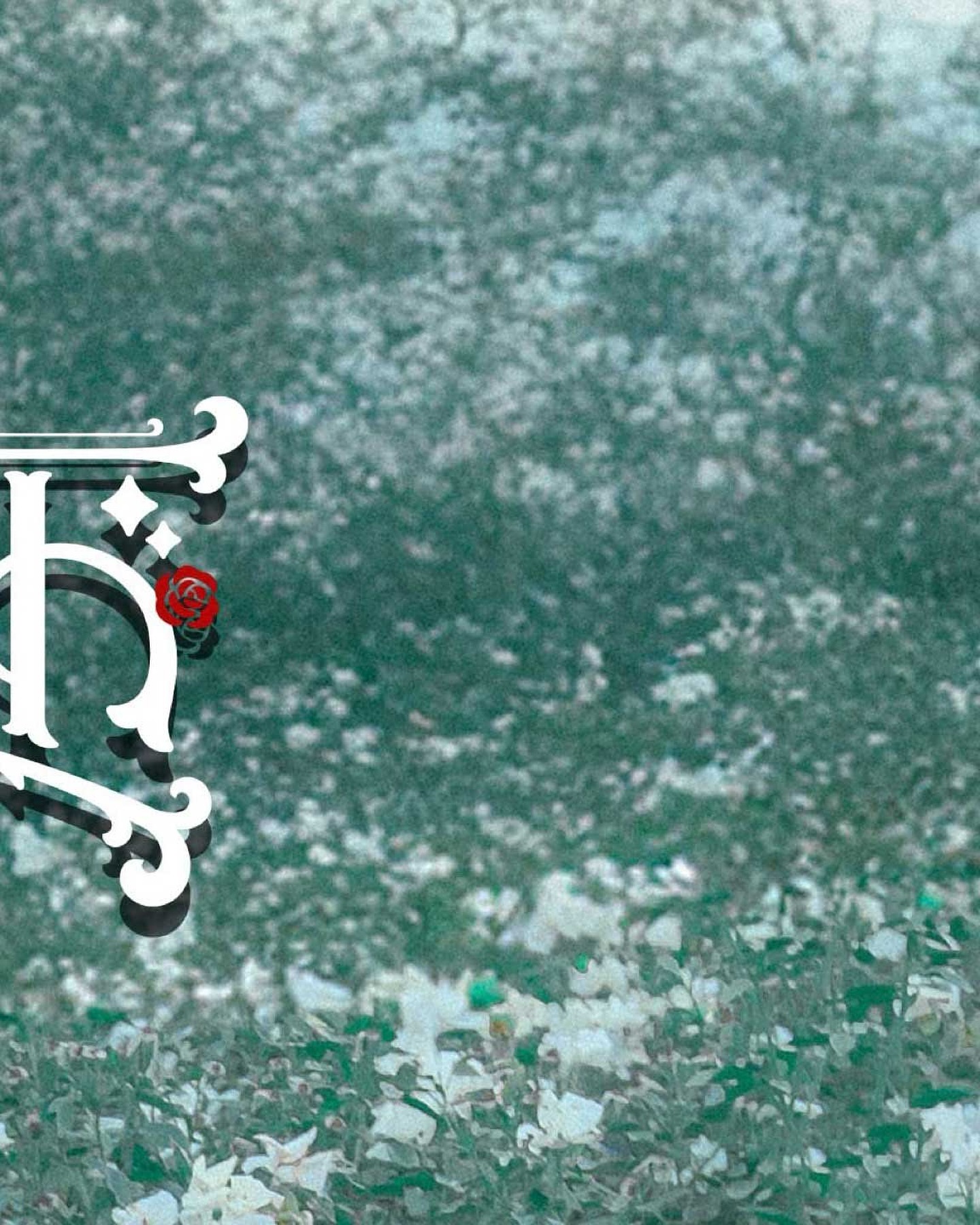 執事とメイド TikTok